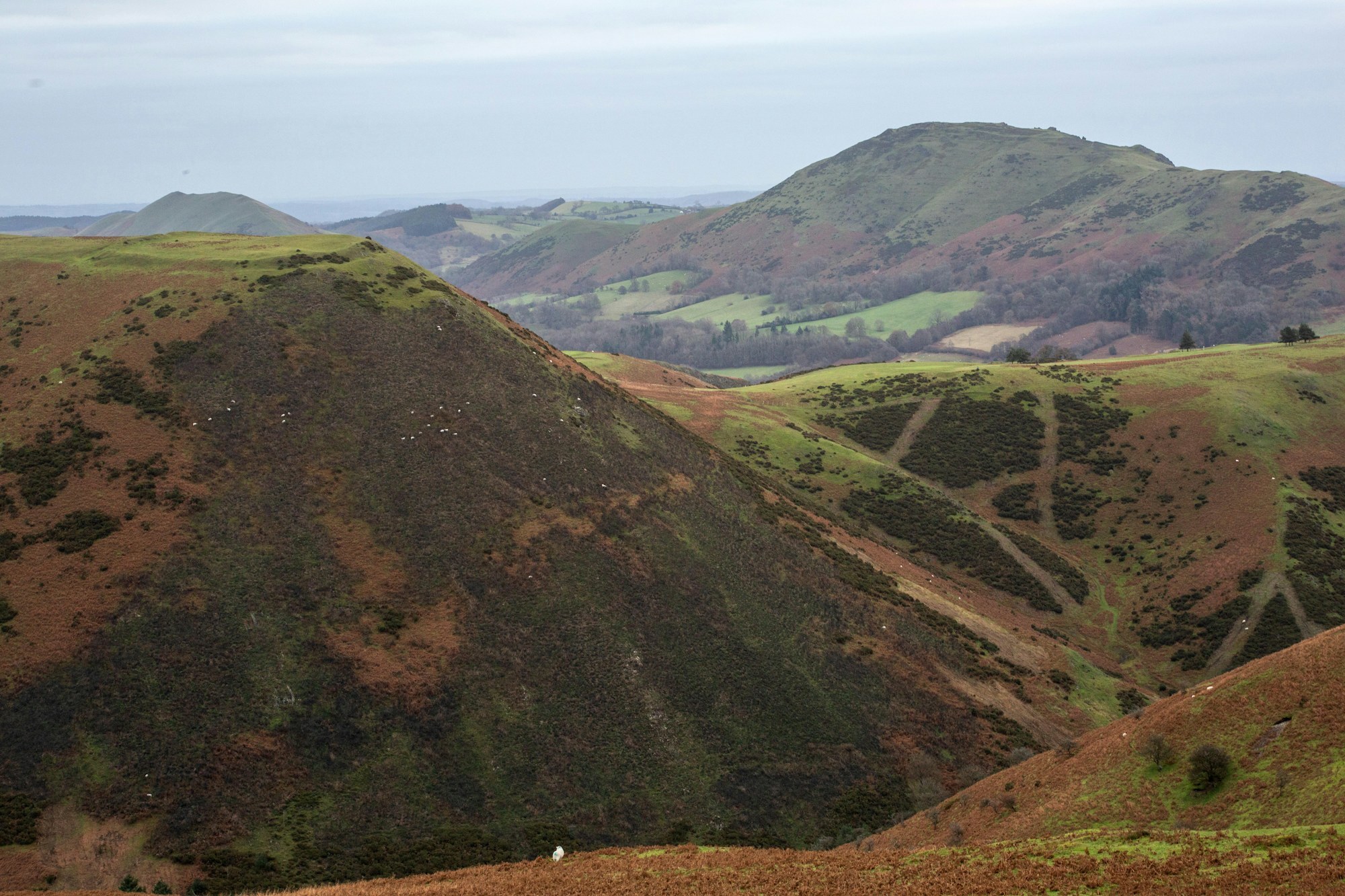 Visit the gallery in Church Stretton